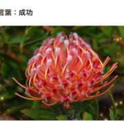 ヒメ日記 2026/10/25 17:10 投稿 山波幸 こあくまな熟女たち 上野・御徒町店 (KOAKUMAグループ)