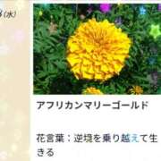 ヒメ日記 2026/10/28 17:17 投稿 山波幸 こあくまな熟女たち 上野・御徒町店 (KOAKUMAグループ)