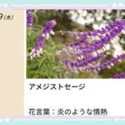 ヒメ日記 2026/10/29 17:43 投稿 山波幸 こあくまな熟女たち 上野・御徒町店 (KOAKUMAグループ)