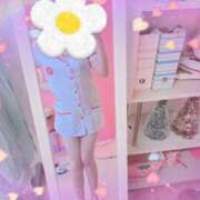 ヒメ日記 2025/01/10 14:37 投稿 まり 子猫カフェ 小倉店