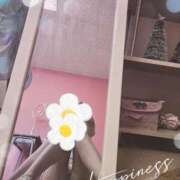 ヒメ日記 2025/01/10 16:02 投稿 まり 子猫カフェ 小倉店