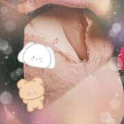 ヒメ日記 2025/02/21 11:08 投稿 まり 子猫カフェ 小倉店