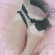 ヒメ日記 2025/02/21 21:49 投稿 まり 子猫カフェ 小倉店