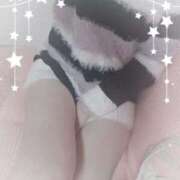 ヒメ日記 2025/02/22 09:16 投稿 まり 子猫カフェ 小倉店