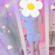 ヒメ日記 2025/02/26 21:54 投稿 まり 子猫カフェ 小倉店