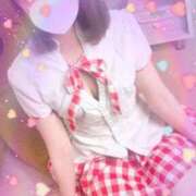 ヒメ日記 2025/02/27 09:33 投稿 まり 子猫カフェ 小倉店