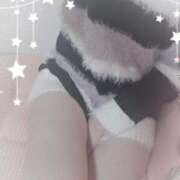 ヒメ日記 2025/02/27 11:45 投稿 まり 子猫カフェ 小倉店