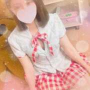 ヒメ日記 2025/03/20 12:56 投稿 まり 子猫カフェ 小倉店