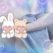 ヒメ日記 2025/03/20 18:03 投稿 まり 子猫カフェ 小倉店