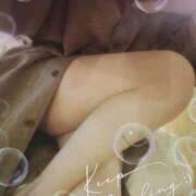 ヒメ日記 2025/05/02 01:45 投稿 まり 子猫カフェ 小倉店