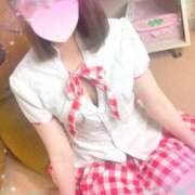 ヒメ日記 2025/05/28 11:19 投稿 まり 子猫カフェ 小倉店