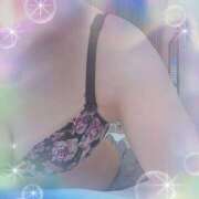 ヒメ日記 2025/05/28 14:45 投稿 まり 子猫カフェ 小倉店