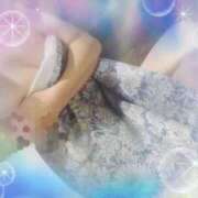 ヒメ日記 2025/06/05 13:30 投稿 まり 子猫カフェ 小倉店