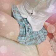 ヒメ日記 2025/06/06 09:45 投稿 まり 子猫カフェ 小倉店