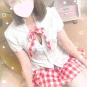 ヒメ日記 2025/06/11 19:17 投稿 まり 子猫カフェ 小倉店