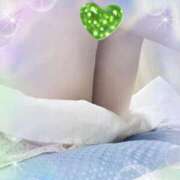 ヒメ日記 2025/06/17 18:33 投稿 まり 子猫カフェ 小倉店