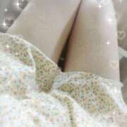 ヒメ日記 2025/06/17 19:23 投稿 まり 子猫カフェ 小倉店