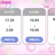 ヒメ日記 2025/06/17 20:03 投稿 まり 子猫カフェ 小倉店