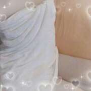 ヒメ日記 2025/06/18 01:24 投稿 まり 子猫カフェ 小倉店