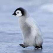 ヒメ日記 2025/06/20 11:59 投稿 あきな 完熟ばなな札幌・すすきの