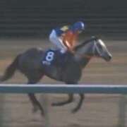 あきな ✨💕第35回🐴有馬記念✨🐎💨オグリ📣オグリ📣オグリ📣😊 完熟ばなな札幌・すすきの