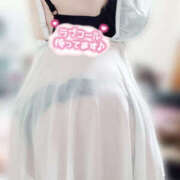 ヒメ日記 2025/11/27 15:00 投稿 ゆき ぽちゃカワ女子専門店宇都宮店