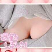 ヒメ日記 2025/05/25 15:45 投稿 みやび 子猫カフェ 小倉店