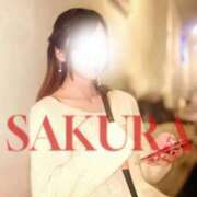 ヒメ日記 2024/12/19 08:20 投稿 さくら すごいエステ仙台店