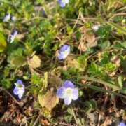 ヒメ日記 2025/03/29 14:20 投稿 さくら すごいエステ仙台店