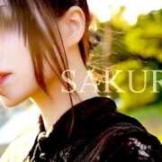 ヒメ日記 2025/09/20 14:50 投稿 さくら すごいエステ仙台店