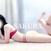 ヒメ日記 2025/11/16 09:20 投稿 さくら すごいエステ仙台店