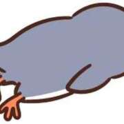 ヒメ日記 2026/03/27 13:50 投稿 さくら すごいエステ仙台店