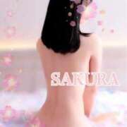 ヒメ日記 2026/03/28 15:00 投稿 さくら すごいエステ仙台店