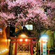 ヒメ日記 2026/04/01 14:21 投稿 さくら すごいエステ仙台店