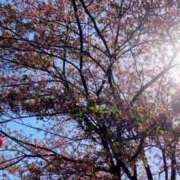 さくら おはよ〜 すごいエステ仙台店