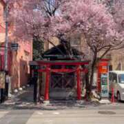 ヒメ日記 2026/04/06 17:30 投稿 はるか すごいエステ仙台店