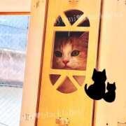 ヒメ日記 2025/05/10 23:49 投稿 あゆみ BLACK LABEL R's