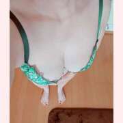 ヒメ日記 2025/12/27 09:45 投稿 ゆみな 松本人妻隊