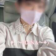 ヒメ日記 2025/03/29 11:33 投稿 新垣 さくら HANA-okinawa-