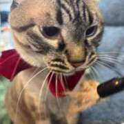 ヒメ日記 2025/12/20 00:03 投稿 新垣 さくら HANA-okinawa-