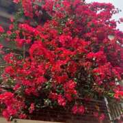 ヒメ日記 2025/08/16 10:17 投稿 ユウコ リッチドールなんば店