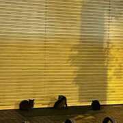 ヒメ日記 2025/10/04 22:16 投稿 ユウコ リッチドールなんば店