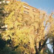 ヒメ日記 2025/11/19 18:36 投稿 ユウコ リッチドールなんば店