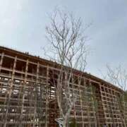 ヒメ日記 2026/04/08 18:58 投稿 ユウコ リッチドールなんば店