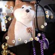 ヒメ日記 2025/09/13 08:12 投稿 長谷川かよ 五十路マダム 新潟店(カサブランカグループ)