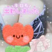 ヒメ日記 2025/01/19 10:25 投稿 あおい 石川金沢ちゃんこ