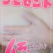 ヒメ日記 2025/02/08 18:05 投稿 あおい 石川金沢ちゃんこ