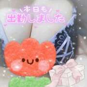 ヒメ日記 2025/02/20 11:06 投稿 あおい 石川金沢ちゃんこ