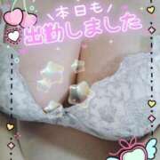 ヒメ日記 2025/02/22 11:15 投稿 あおい 石川金沢ちゃんこ