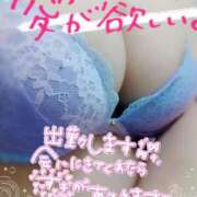 ヒメ日記 2025/02/23 10:25 投稿 あおい 石川金沢ちゃんこ